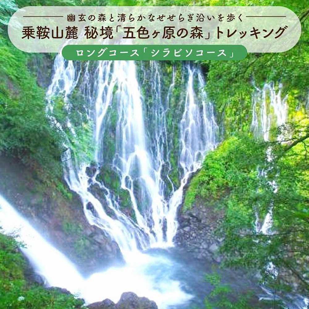 【ふるさと納税】2023・24年度シーズン 乗鞍山麓 秘境 五色ヶ原 トレッキングロングコース シラビソコース 所要8時間 2名分 MK002