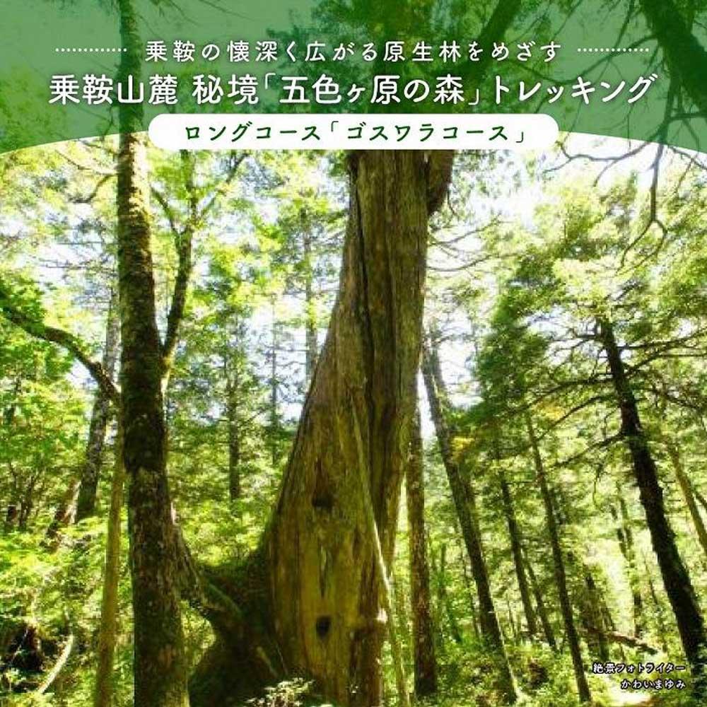 【ふるさと納税】2023・24年度シーズン 乗鞍山麓 秘境 五色ヶ原 トレッキング ロングコース ゴスワラコース 所要8時間 2名分 MK003