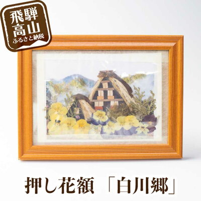楽天ふるさと納税 【ふるさと納税】【数量限定】押し花額 飛騨の風景【白川郷】 押し花 花 フラワー 飾り TR3178
