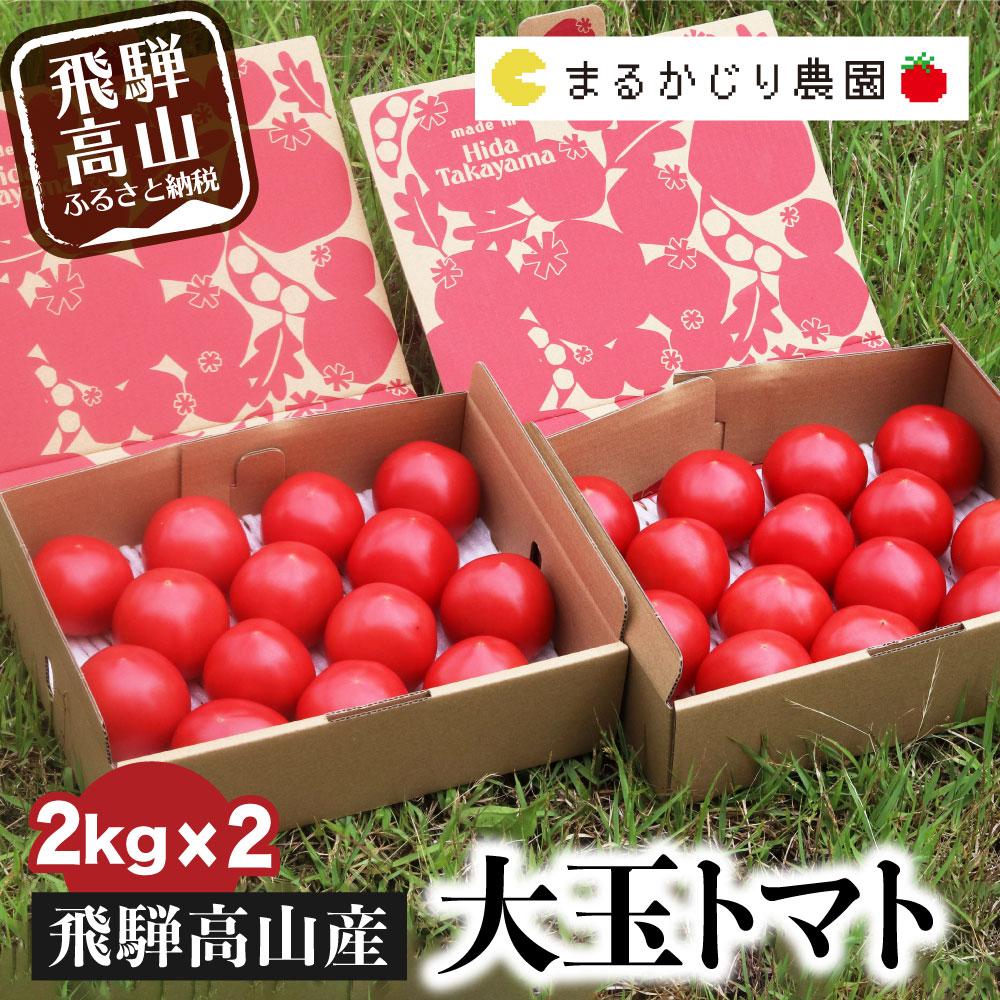 【ふるさと納税】【2024年予約受付】 飛騨高山産 大玉トマト 2キロ×2箱 計4kg 麗月トマト とまと 産地直送 野菜 飛騨高山 TR3095