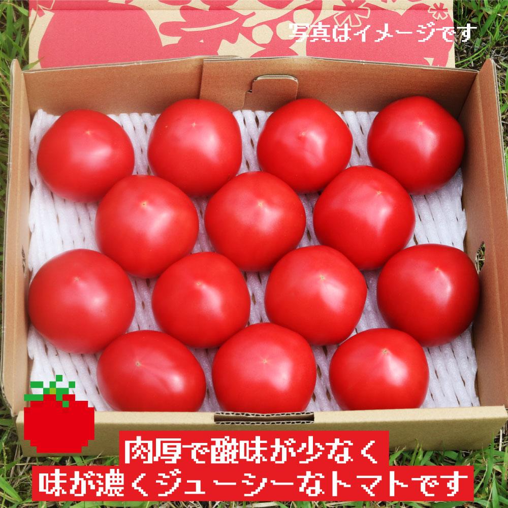 【ふるさと納税】【2024年予約受付】 飛騨高山産 大玉トマト 2キロ×2箱 計4kg 麗月トマト とまと 産地直送 野菜 飛騨高山 TR3095