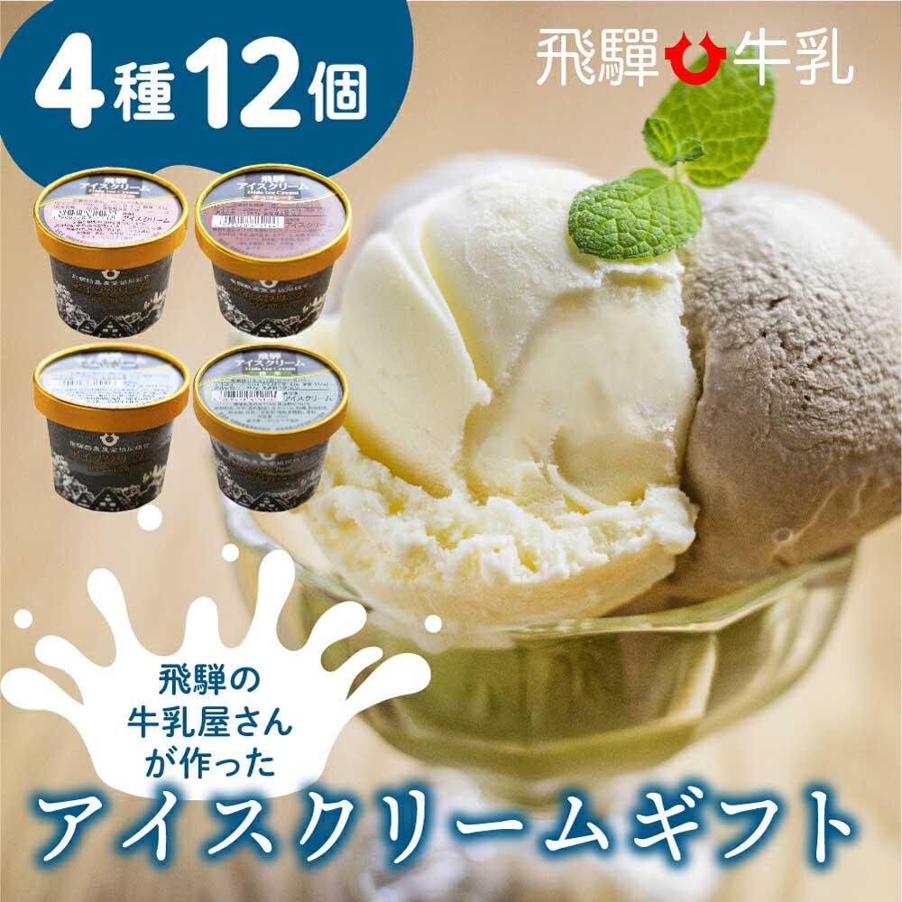 【ふるさと納税】 飛騨牛乳 アイス　アイスクリーム　12個入り　　夏　　熨斗対応　のし対応　熨斗　のし　飛騨産　飛騨高山　HACCP　乳製品 おやつ　バニラ　チョコ　抹茶　ストロベリー　イチゴ　TR3125