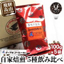 イーグルコーヒーおススメセット100g×5種自家焙煎コーヒー 自家焙煎 コーヒー コーヒー豆 ブレン コーヒー 浅煎り 中深煎り 深煎り 詰め合わせ セット TR3181