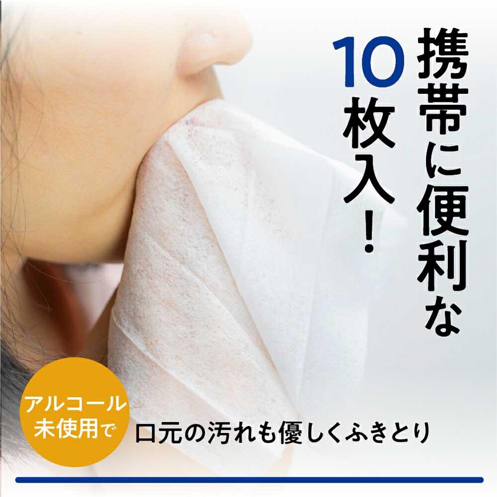 【ふるさと納税】ライフウェットティッシュ 除菌ノンアルコール 10枚入30個セット 平和メディク ティッシュ 除菌 持ち運び 携帯用 TR3217 日用品