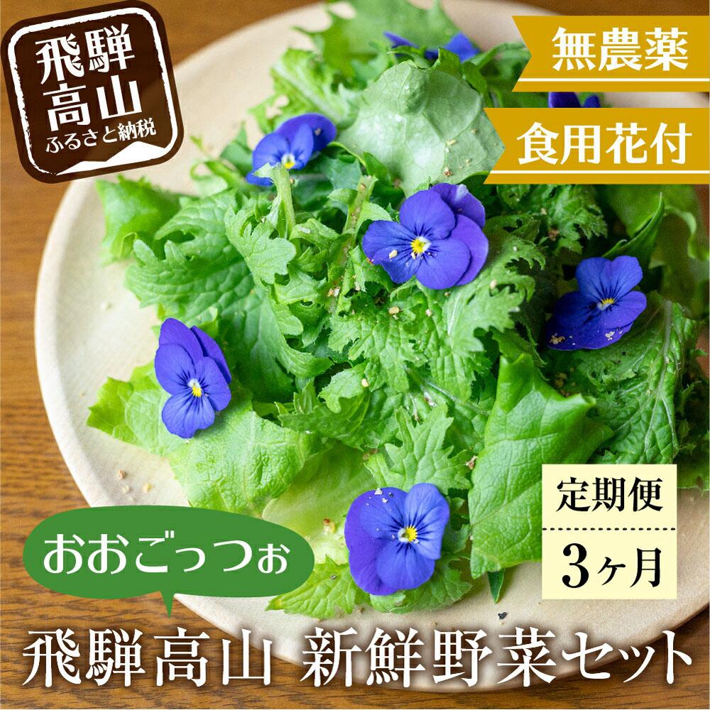 【定期便3回】飛騨高山野菜『おおごっつぉ』詰合せ 葉物野菜 葉物 ミックスリーフ わさびな フラワーサラダ 無農薬野菜 無農薬 TR3647