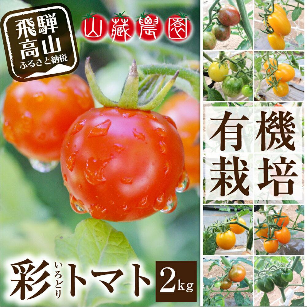 楽天岐阜県高山市【ふるさと納税】【2024年夏 先行予約】（6月中旬から順次発送予定）飛騨高山産 有機栽培トマト「彩りトマト」 2kg ミディトマト ミニトマト 詰合せ ミックス 樹熟 5種類以上 食べ比べ 野菜 山藏農園 飛騨高山 TR3725