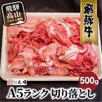 【ふるさと納税】飛騨牛 肉 牛肉 A5等級 切り落とし 500g | お肉 すき焼き すき焼 すきやき しゃぶしゃぶ 切り落し 切りおとし ブランド 岐阜 お取り寄せ グルメ 冷凍 黒毛和牛 にく きりおとし 人気 おすすめ 国産 高山市 丸明 TR3733