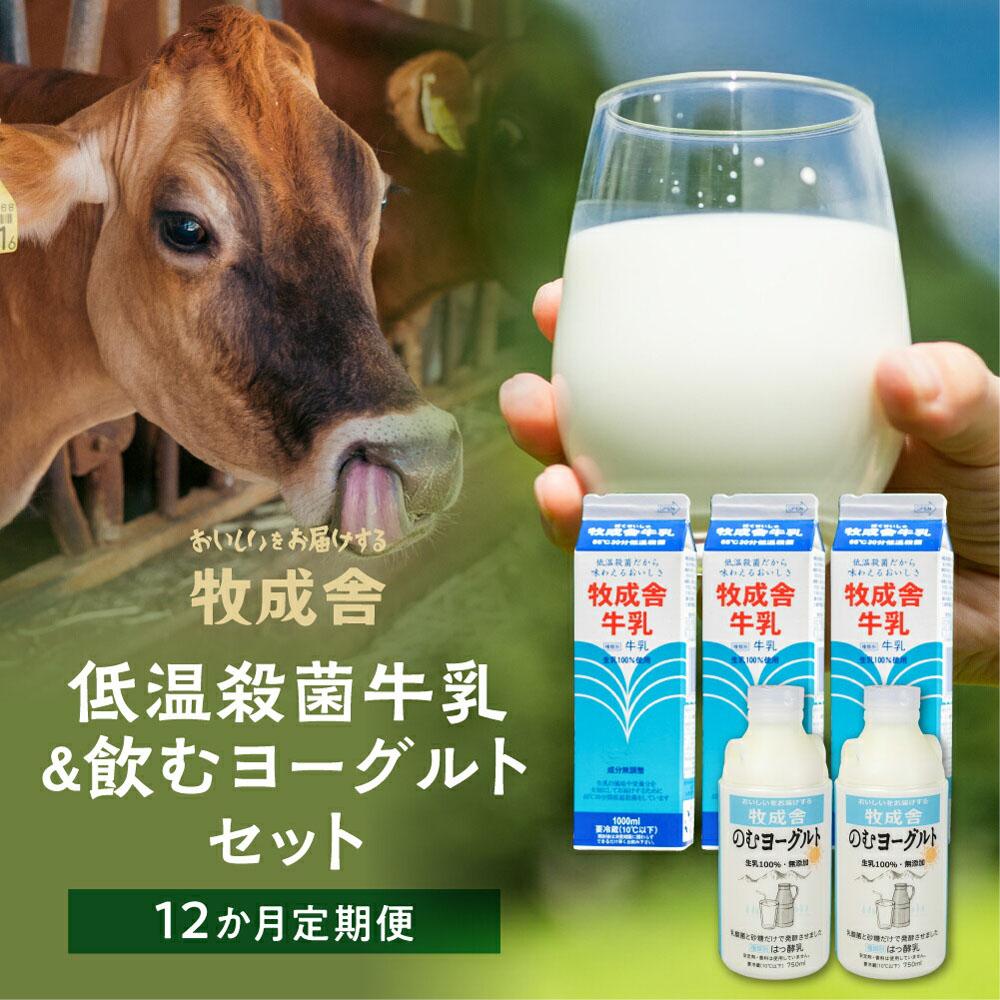 楽天岐阜県高山市【ふるさと納税】牛乳 飲むヨーグルト 定期便 12ヶ月 セット （ 牛乳3L 飲むヨーグルト1.5L ） 牧成舎 岐阜 高山市 飛騨高山 岐阜県 | 送料無料 お取り寄せ 人気 お楽しみ おすすめ