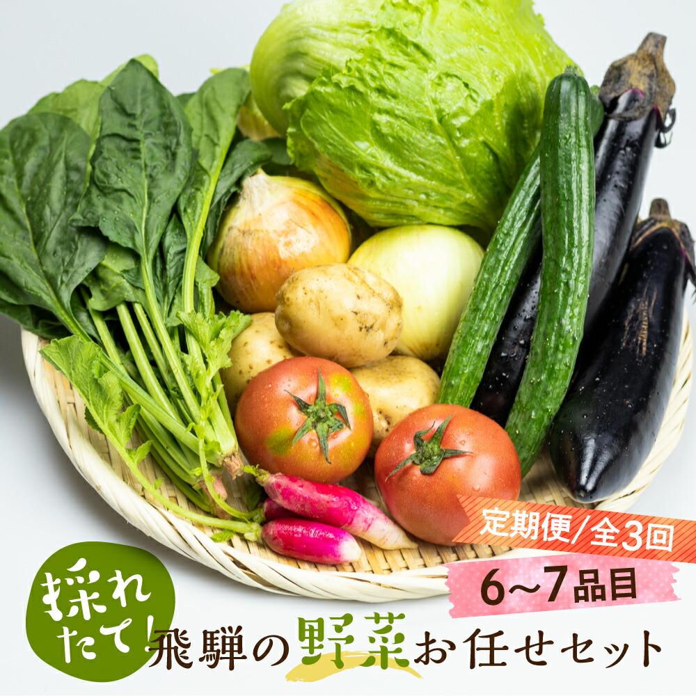 【ふるさと納税】先行予約 定期便 3ヶ月 飛騨の野菜 6～7点 野菜セット 3回 お届け 飛騨高山産 野菜 秋野菜 おまかせ お取り寄せ 産地直送 飛騨産 夏 秋 ふるさと納税定期便 TR3827