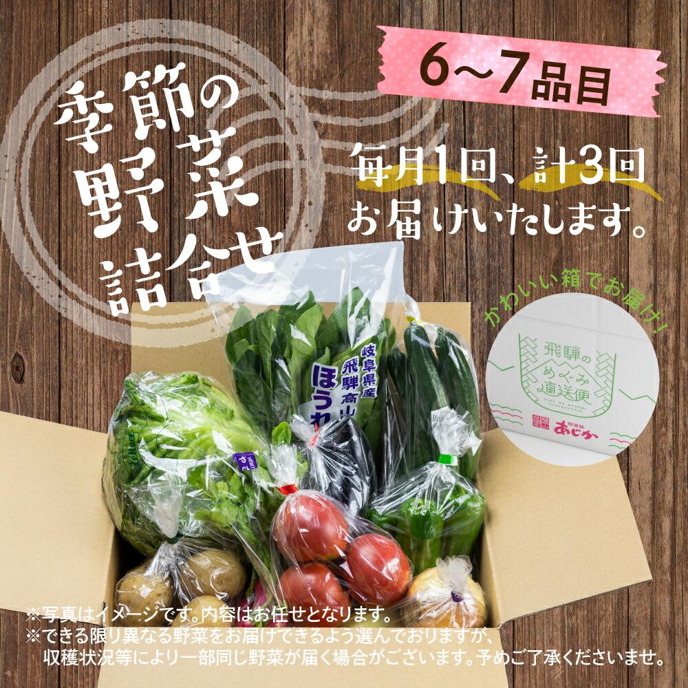 【ふるさと納税】先行予約 定期便 3ヶ月 飛騨の野菜 6～7点 野菜セット 3回 お届け 飛騨高山産 野菜 秋野菜 おまかせ お取り寄せ 産地直送 飛騨産 夏 秋 ふるさと納税定期便 TR3827