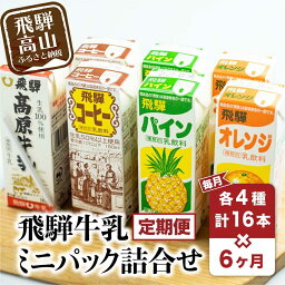 【ふるさと納税】乳飲料 詰め合わせ 定期便 6ヶ月 セット合計: 96本 ( 180ml × 16本 × 6ヶ月 ) 4種 飛騨牛乳 コーヒー牛乳 フルーツ牛乳 岐阜 高山市 飛騨高山 岐阜県 | スイーツ パックジュース 送料無料 お取り寄せ 人気 お楽しみ おすすめ