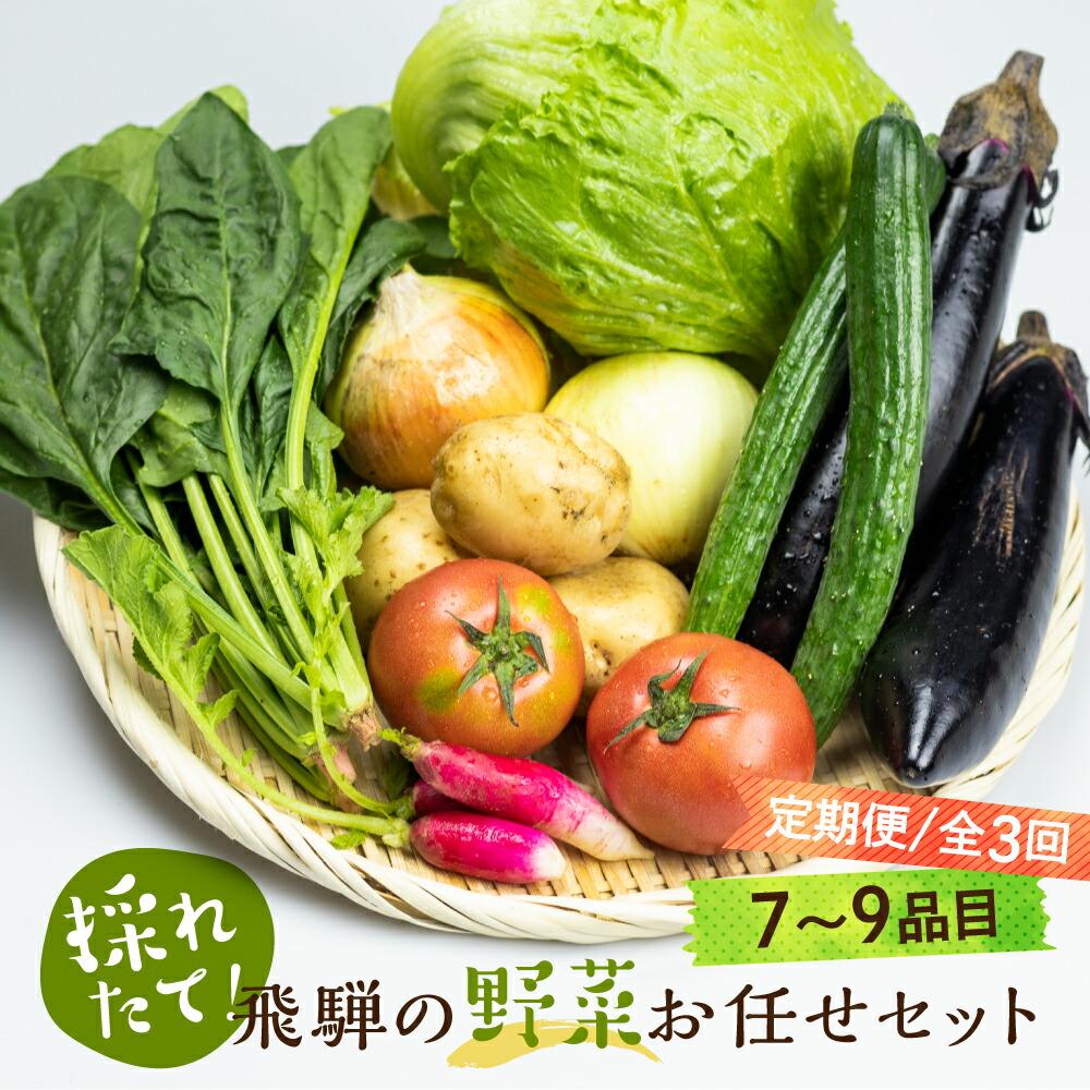 19位! 口コミ数「0件」評価「0」先行予約 《定期便》3ヶ月 飛騨の野菜 7～9点 野菜セット 3回 お届け 飛騨高山産 野菜 秋野菜 おまかせ お取り寄せ 産地直送 飛騨産･･･ 