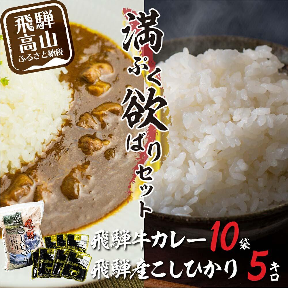 25位! 口コミ数「5件」評価「4.4」飛騨牛カレー（160g×10袋）と飛騨産こしひかり5kg 満腹欲ばりセット | 飛騨牛 カレー レトルト 加工食品 白米 米 飛騨こしひかり･･･ 