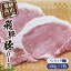 【ふるさと納税】アルプス育ち飛騨豚ロース100g×7枚 計700g 豚肉 ロース 真空パック 冷蔵 ブランド豚 ..