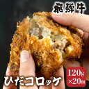 ひだコロッケ 手作り 飛騨牛コロッケ 120g×20個 飛騨牛 コロッケ レンジ 揚げ物 フライ 惣菜 冷凍食品 洋風総菜 揚げ物 揚げ調理済 シェア 飛騨高山 TR4028