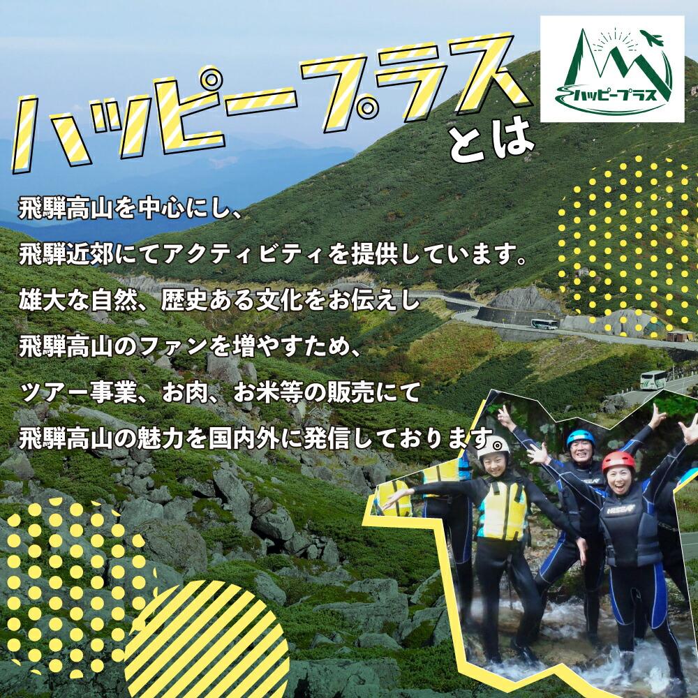 【ふるさと納税】ハッピーツアー体験チケット 3,000円分 体験 ツアー 利き酒 酒蔵体験 町歩き フードツアー 座禅 シャワークライミング スノーシュー オンラインツアー アクティビティ ハッピープラス 飛騨高山 TR4074 3