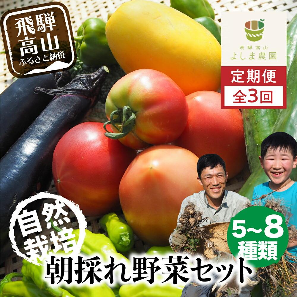 5位! 口コミ数「1件」評価「4」【先行予約】【野菜定期便 発送期間7～11月（うち3ヶ月の定期便）】 朝採れ 自然栽培 野菜セット 5～8種 トマト ナス キュウリ ゴーヤ･･･ 