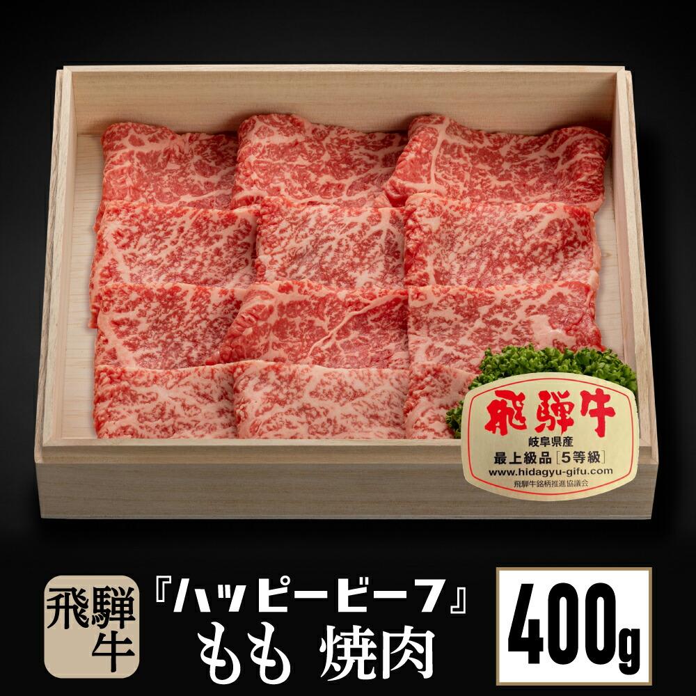 飛騨牛 【ふるさと納税】飛騨牛 A5等級 【赤身】 もも肉 焼肉 400g 飛騨牛 ブランド牛 A5ランク ハッピープラス 飛騨高山 TR4093