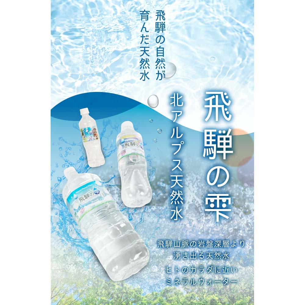 【ふるさと納税】天然水 飛騨の雫 500ml×24本 1ケース ミネラルウォーター ミネラルウォーター 水 ペットボトル 飲料水 500ミリリットル 白啓酒店 飛騨高山 TR4146