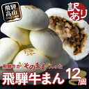 4位! 口コミ数「28件」評価「4.54」訳あり 飛騨牛まん 12個 肉まん 中華まん にくまん 牛まん 飛騨牛 簡易包装 飛騨高山 惣菜 TR4155