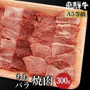 飛騨牛 【ふるさと納税】飛騨牛 / (バラ肉) 2種入り 焼肉 300g もも肉 A5等級 ブランド牛 和牛 焼肉セット 朝日屋 TR4213