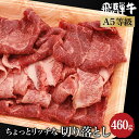 飛騨牛 【ふるさと納税】A5等級 飛騨牛 ちょっとリッチな 切り落とし 460g( 飛騨牛もも / 肩肉 ) 飛騨高山 肉の朝日屋 ブランド牛 和牛 牛丼 すき焼き TR4222