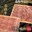 【ふるさと納税】飛騨牛 ロース イチボ 焼肉 1.2kg（600g×2） A5等級 希少部位 ブランド牛 和牛 霜降り..