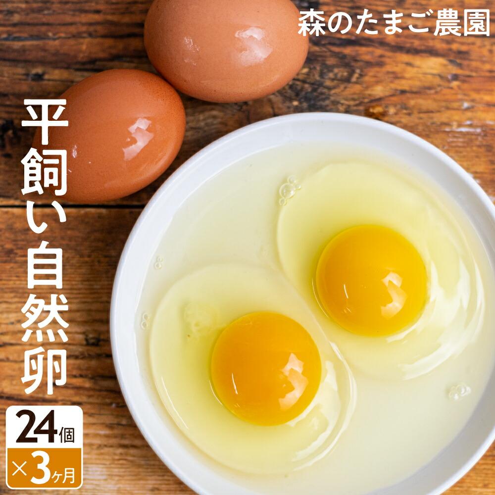 【ふるさと納税】定期便 たまご 卵 3ヶ月 自然卵 24個 セット 平飼い お取り寄せ 新鮮 ニワトリ 玉子 人気 おすすめ 岐阜 高山 送料無料 TR4365