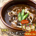 【ふるさと納税】飛騨牛ビーフシチュー たっぷり400g×3袋