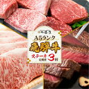 【ふるさと納税】肉 飛騨牛 定期便 