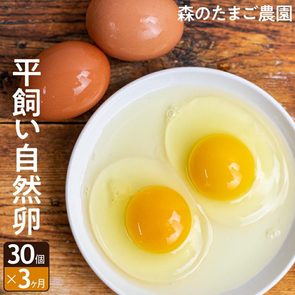 【ふるさと納税】定期便 たまご 卵 3ヶ月 30個セット 3回 自然卵 平飼い お取り寄せ 新鮮 ニワトリ 玉...