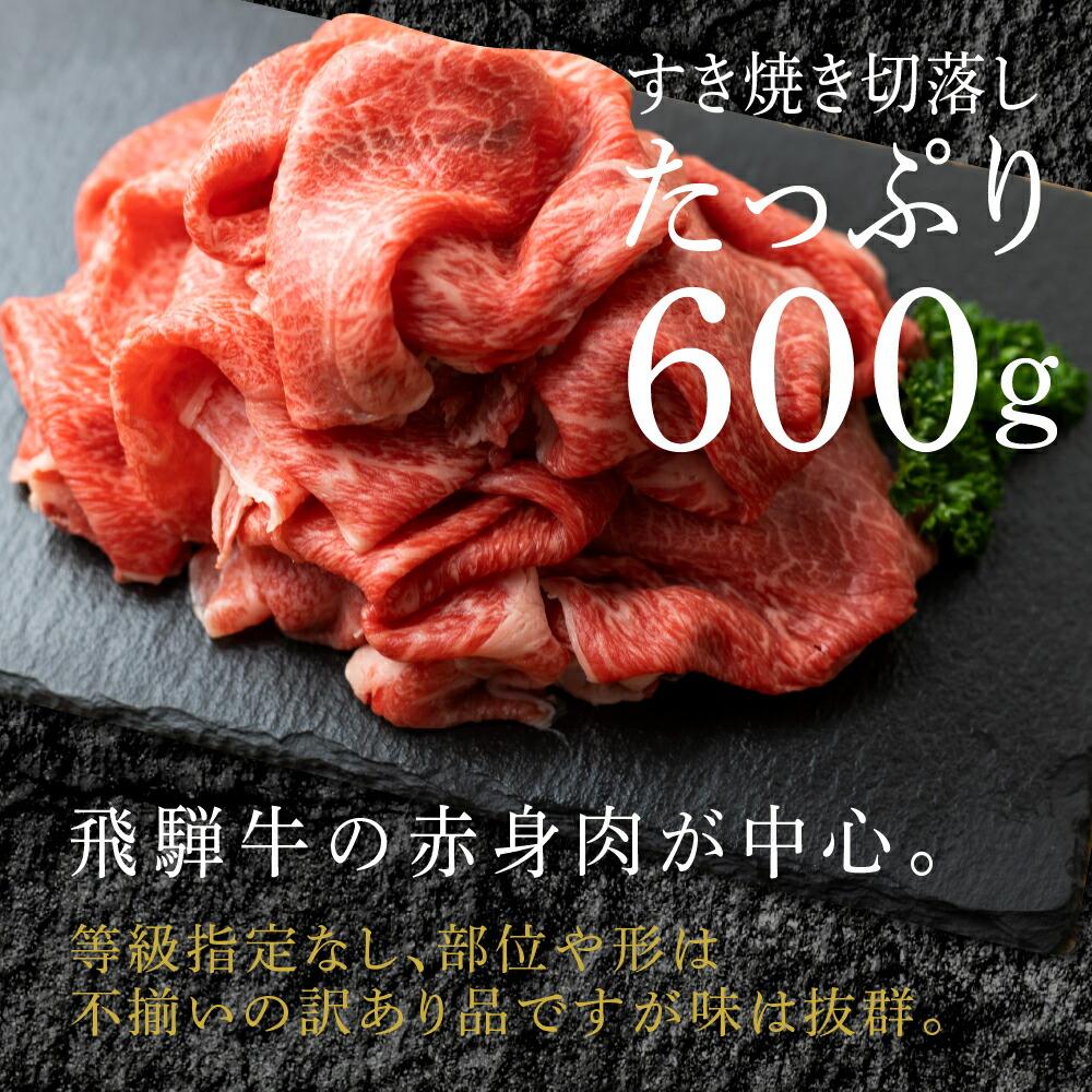 【ふるさと納税】訳あり 肉 飛騨牛 すき焼き 切り落とし 600g | 牛肉 お肉 不揃い 和牛 国産 冷凍 煮物 すき焼 すきやき 切落とし 切り落し 切りおとし 切落し 岐阜 高山 お取り寄せ グルメ 人気 おすすめ ブランド 赤身 TR4393