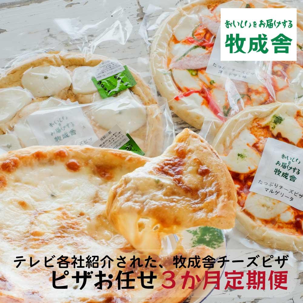 【ふるさと納税】ピザ 定期便 3ヶ月 おまかせ セット 合計 9枚以上 ( マルゲリータ 和風山椒味 カレー...