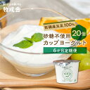 生乳100％ 砂糖不使用 プレーンヨーグルト 20個 牧成舎 朝食におすすめ　無糖ヨーグルト プレーンヨーグルト 砂糖不使用 生乳ヨーグルト 乳製品 TR4338 お楽しみ