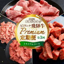 飛騨牛 【ふるさと納税】天狗総本店 A5 飛騨牛 定期便 3回 1.3kg ( 300g 以上 × 3ヶ月 ) ( サイコロステーキ 霜降 赤身 切り落とし すき焼き) | 肉 牛肉 食べ比べ 岐阜 高山市 飛騨高山 岐阜県 人気 お楽しみ おすすめ TR4458