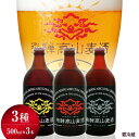 地ビール 【ふるさと納税】飛騨高山麦酒 爽快3本セット お酒 ビール クラフトビール 地ビール 飛騨高山 プレミアム 家飲み おうち時間 ピルセナー ペールエール ヴァイツェン 父の日 セット 贈答用 詰め合わせ a618