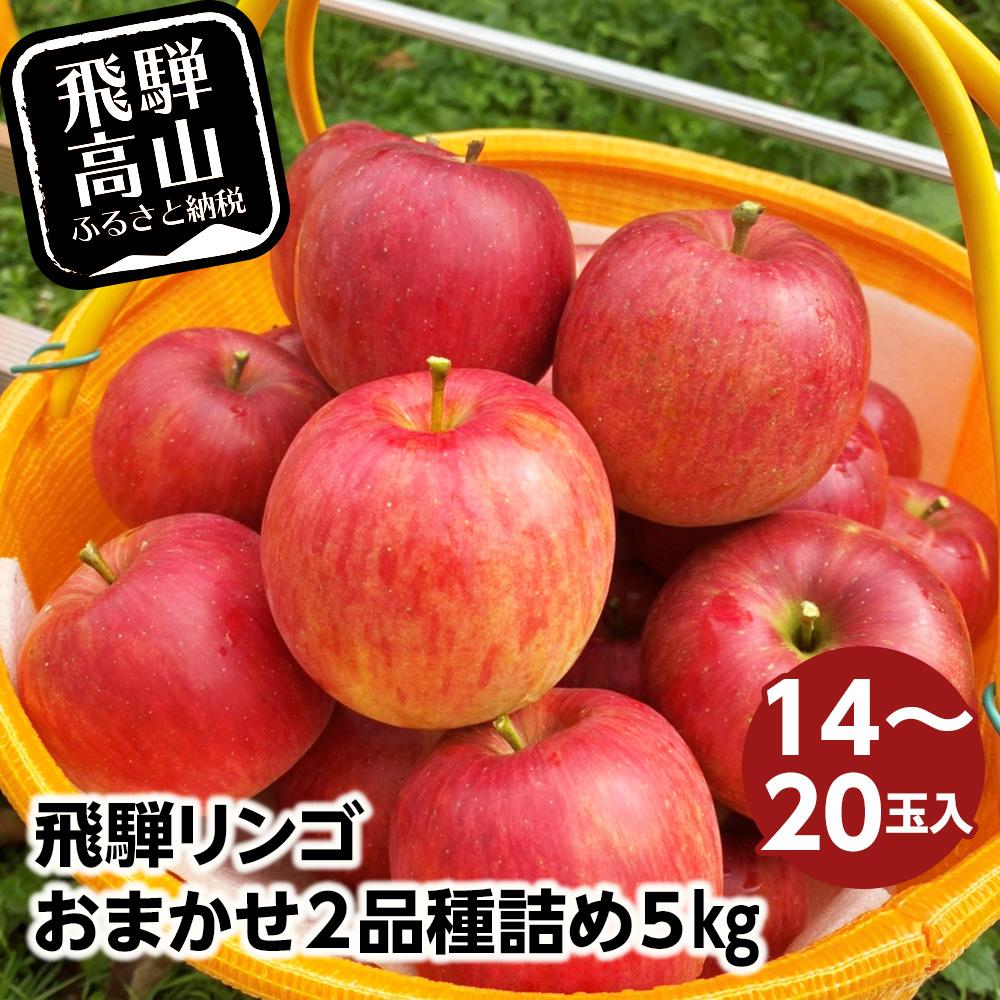 【ふるさと納税】飛騨リンゴ 5kg 14-20玉入り おまか