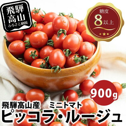 【先行予約】濃厚ミニトマト ピッコラ・ルージュ 900g | フルーツトマト ミニトマト トマト 甘い 農家直送 産地直送 肉厚 糖度 高冷地 野菜 減農薬 高山市 新葉ファーム a669