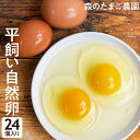 13位! 口コミ数「2件」評価「4.5」たまご 卵 24個 自然卵 平飼い お取り寄せ 新鮮 ニワトリ 玉子 人気 おすすめ 岐阜 高山 送料無料 a645