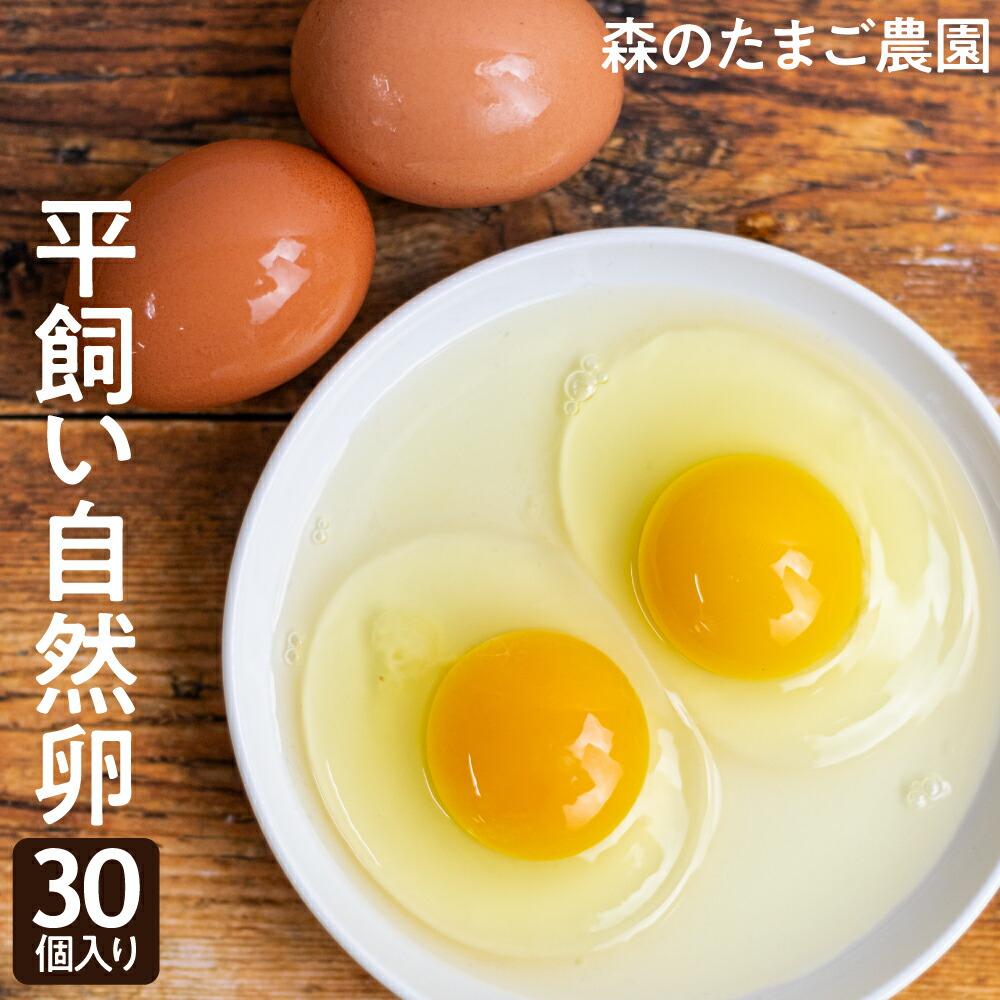 5位! 口コミ数「1件」評価「2」 たまご 卵 30個 自然卵 平飼い お取り寄せ 新鮮 ニワトリ 玉子 人気 おすすめ 岐阜 高山 送料無料 a646