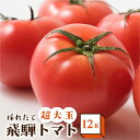 30位! 口コミ数「0件」評価「0」【数量限定】希少！！超大玉飛騨トマト12玉 とまと 大玉トマト 野菜 産地直送 珍しい 数量限定 期間限定 宿儺 TR4285