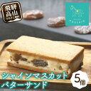 29位! 口コミ数「0件」評価「0」【数量限定】 シャインマスカット レーズンバターサンド 5個 洋菓子 お菓子 贈答 内祝い 熨斗 のし対応可 本郷 TR4295