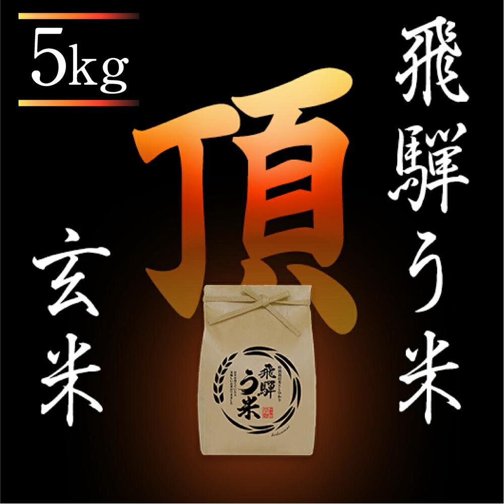 [数量限定] 飛騨う米 玄米 5kg 有機肥料 100% 米コン3年連続特別優秀賞受賞 米 令和5年度産 『頂』 こしひかり コシヒカリ 拳