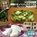 【ふるさと納税】【3ヶ月 定期便】飛騨の新鮮モッツァレラ＆フレッシュ野菜 セット 3回お届け モッツァレラチーズ 野菜 チーズ ミックスリーフ 無農薬野菜 無農薬 牧成舎 飛騨高山 TR3331 お楽しみ