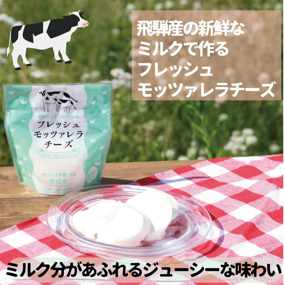 【ふるさと納税】【3ヶ月 定期便】飛騨の新鮮モッツァレラ＆フレッシュ野菜 セット 3回お届け モッツァレラチーズ 野菜 チーズ ミックスリーフ 無農薬野菜 無農薬 牧成舎 飛騨高山 TR3331 お楽しみ