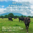 【ふるさと納税】飛騨牛 みすじ ウデ 焼肉 700g 盛り合わせ ( 赤身 & 霜降り ) 牛 黒毛和牛 国産牛 肉 飛騨高山 ブランド牛 飛騨牛のこもり TR3318 3