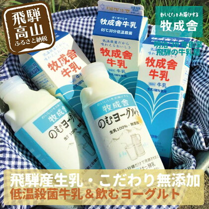 飛騨の牛乳屋こだわり 牛乳 3本 飲むヨーグルト 2本 セット 低温殺菌 無添加 牧成舎 飛騨高山 TR3333