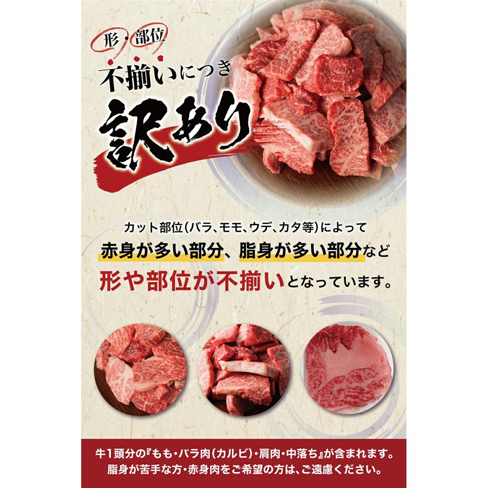 【ふるさと納税】訳あり 飛騨牛焼肉切落し 600g ≪冷凍 / 日付指定不可≫ | 発送月が選べる 牛肉 飛騨牛 焼肉 不揃い 高評価 人気 おすすめ 飛騨高山 肉の匠家 TR3341