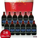 【ふるさと納税】飛騨高山麦酒 ダークエール 12本セット 500ml×12 地ビール ビール 麦酒 クラフトビール 飛騨高山 瓶ビール ビンビール TR3382