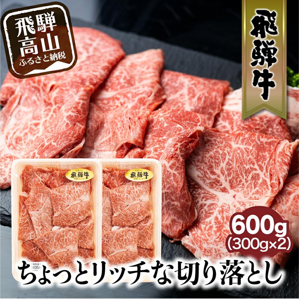 飛騨牛 【ふるさと納税】飛騨牛 切り落とし 300g×2パックセット みすじ ウデ すき焼き しゃぶしゃぶ 希少部位 600g 和牛 国産牛 ブランド牛 冷凍 飛騨高山 飛騨牛のこもり TR3448